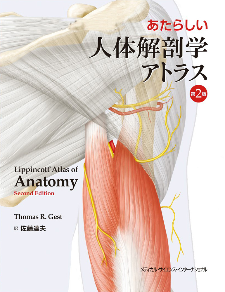 宅配便配送 【2冊セット】解剖学専門書（人体の正常構造と機能 