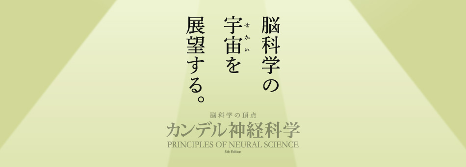 カンデル神経科学｜MEDSi メディカル・サイエンス・インターナショナル